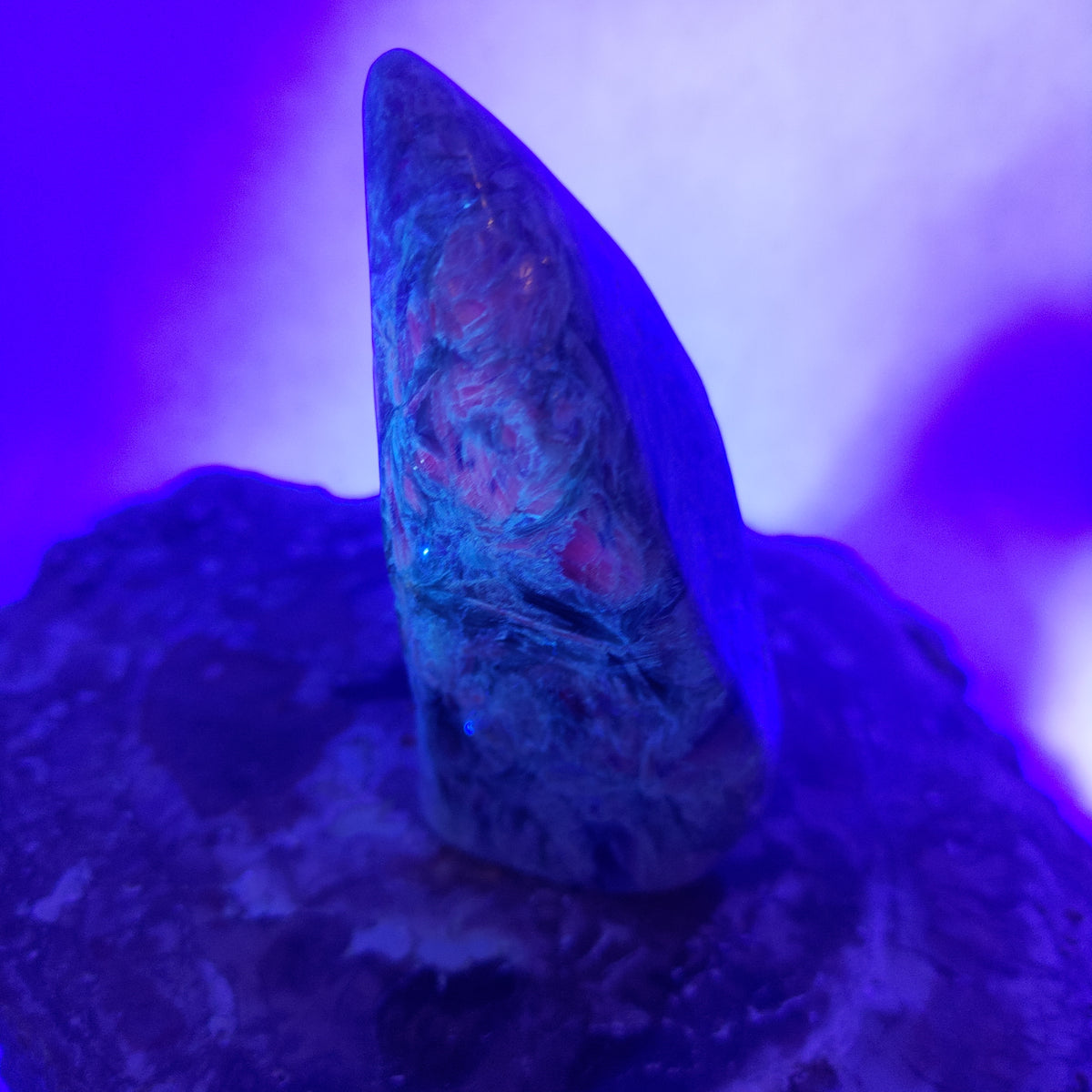 Green and Blue Kyanite in Quartz Matrix Freeform Ref: 0386