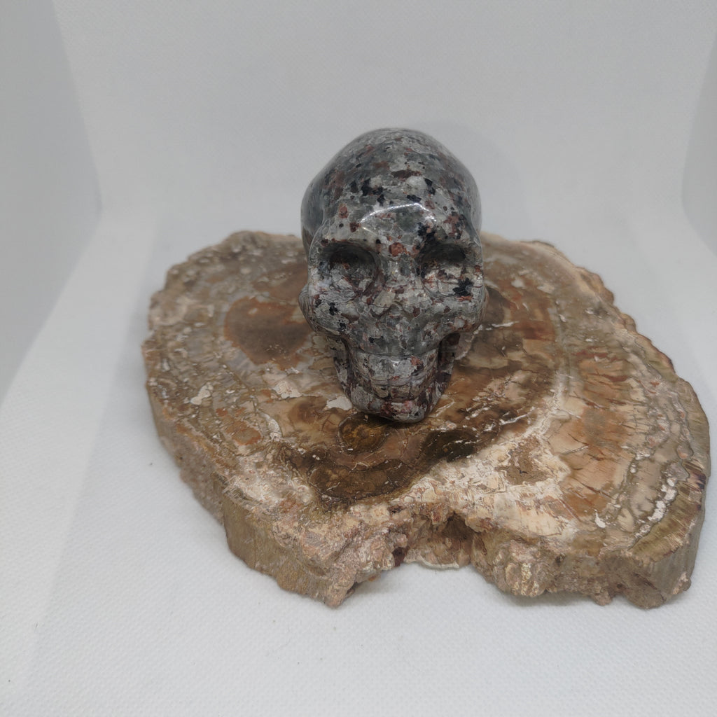 Yooperlite Skull Ref: 0391