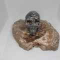 Yooperlite Skull Ref: 0391