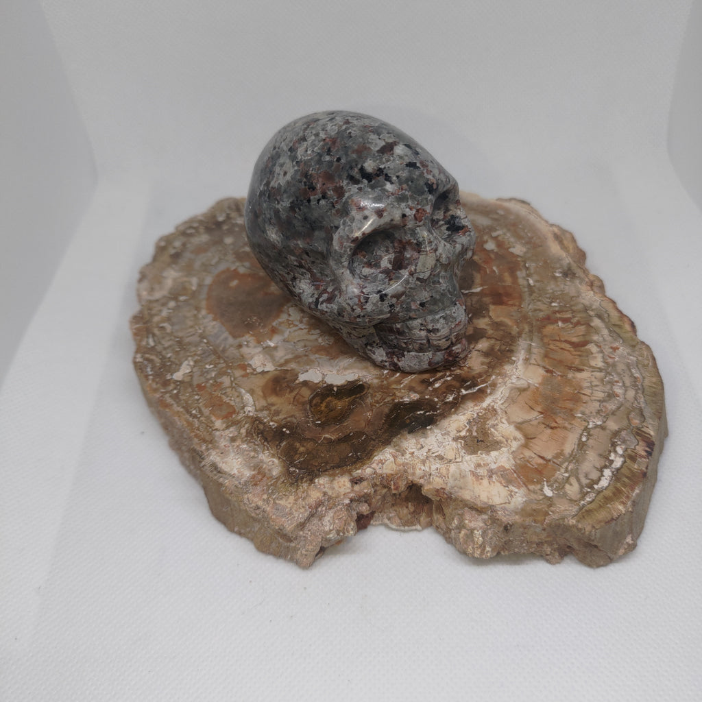 Yooperlite Skull Ref: 0391