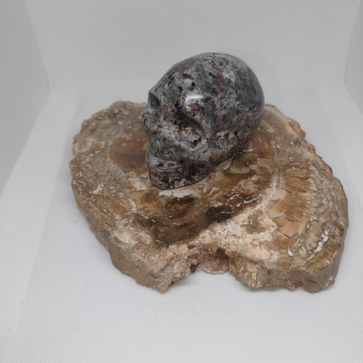 Yooperlite Skull Ref: 0391