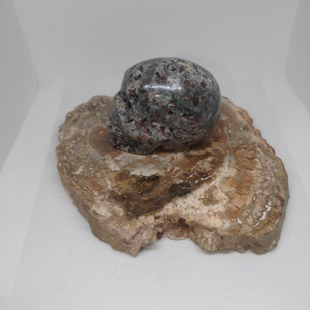 Yooperlite Skull Ref: 0391