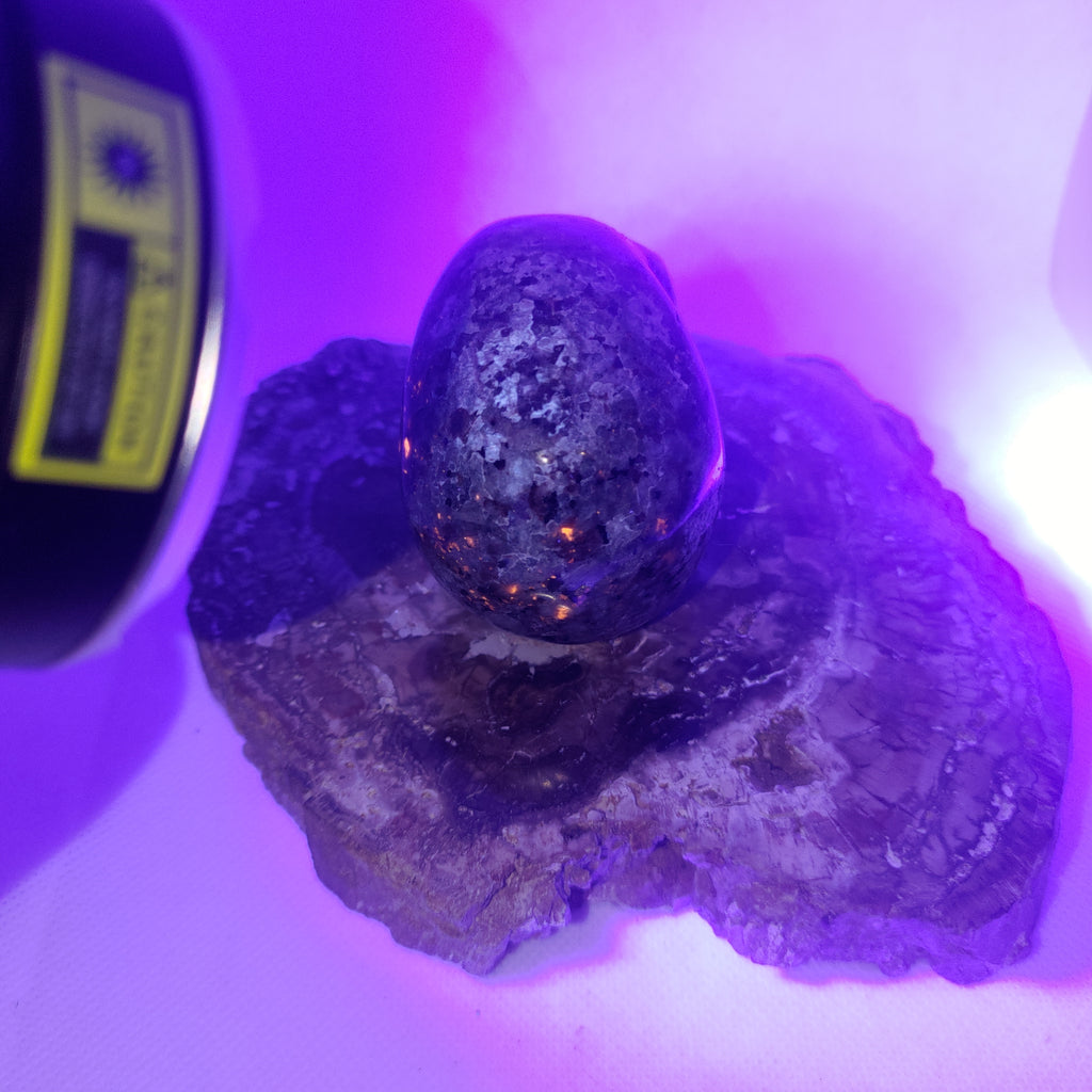 Yooperlite Skull Ref: 0391