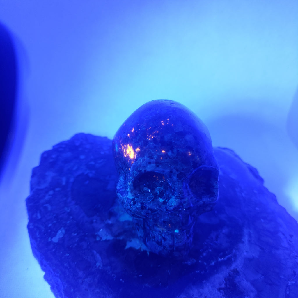 Yooperlite Skull Ref: 0391