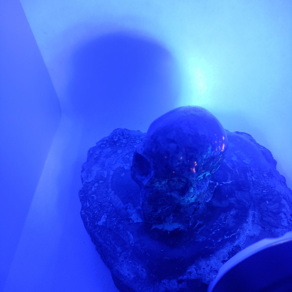 Yooperlite Skull Ref: 0391
