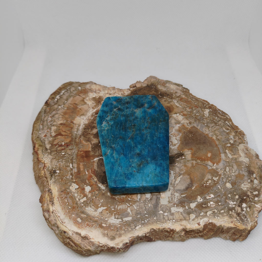 Blue Apatite Coffin Ref: 0396