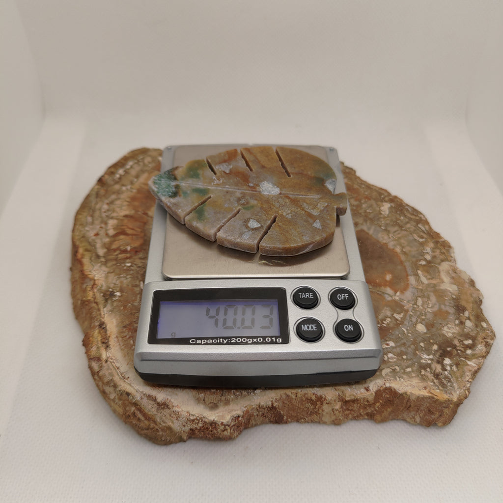 Ocean Jasper Carved Leaf Ref: 0398