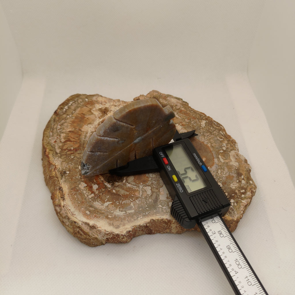 Ocean Jasper Carved Leaf Ref: 0398