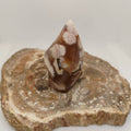Flower Agate Flame Ref: 0400