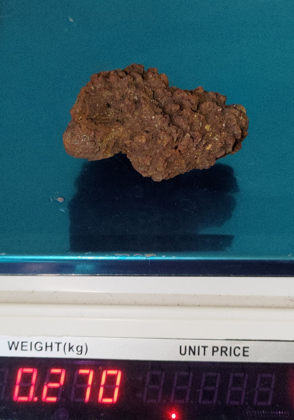 Genuine Coprolite (Fossilised Poo) – Unique Prehistoric Fossil Specimen Ref:0384