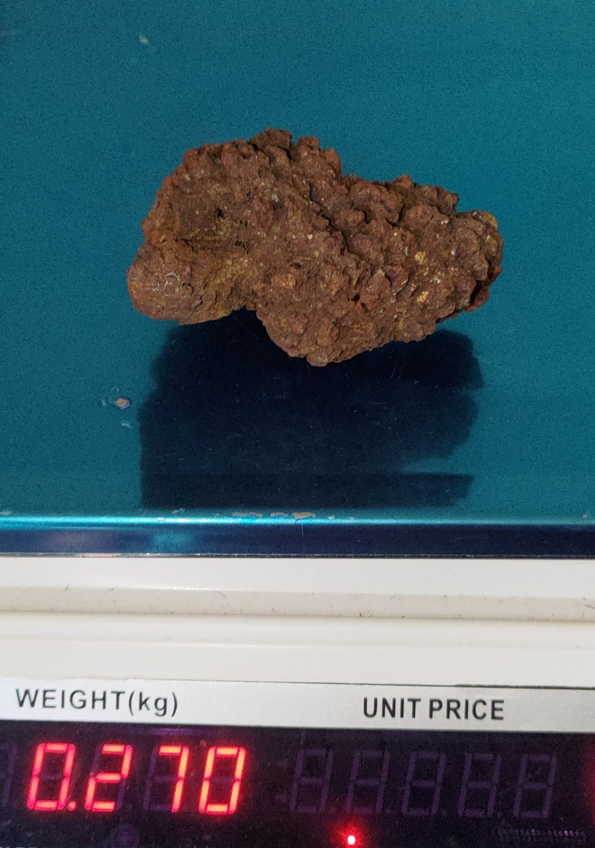 Genuine Coprolite (Fossilised Poo) – Unique Prehistoric Fossil Specimen Ref:0384