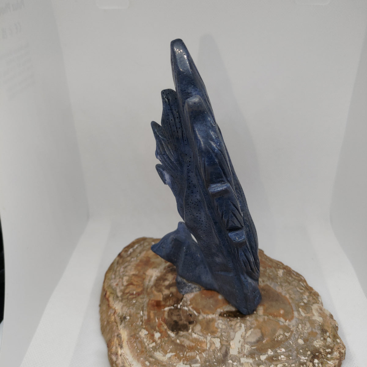 Blue Coral Nine Tails Fox Ref: 0404