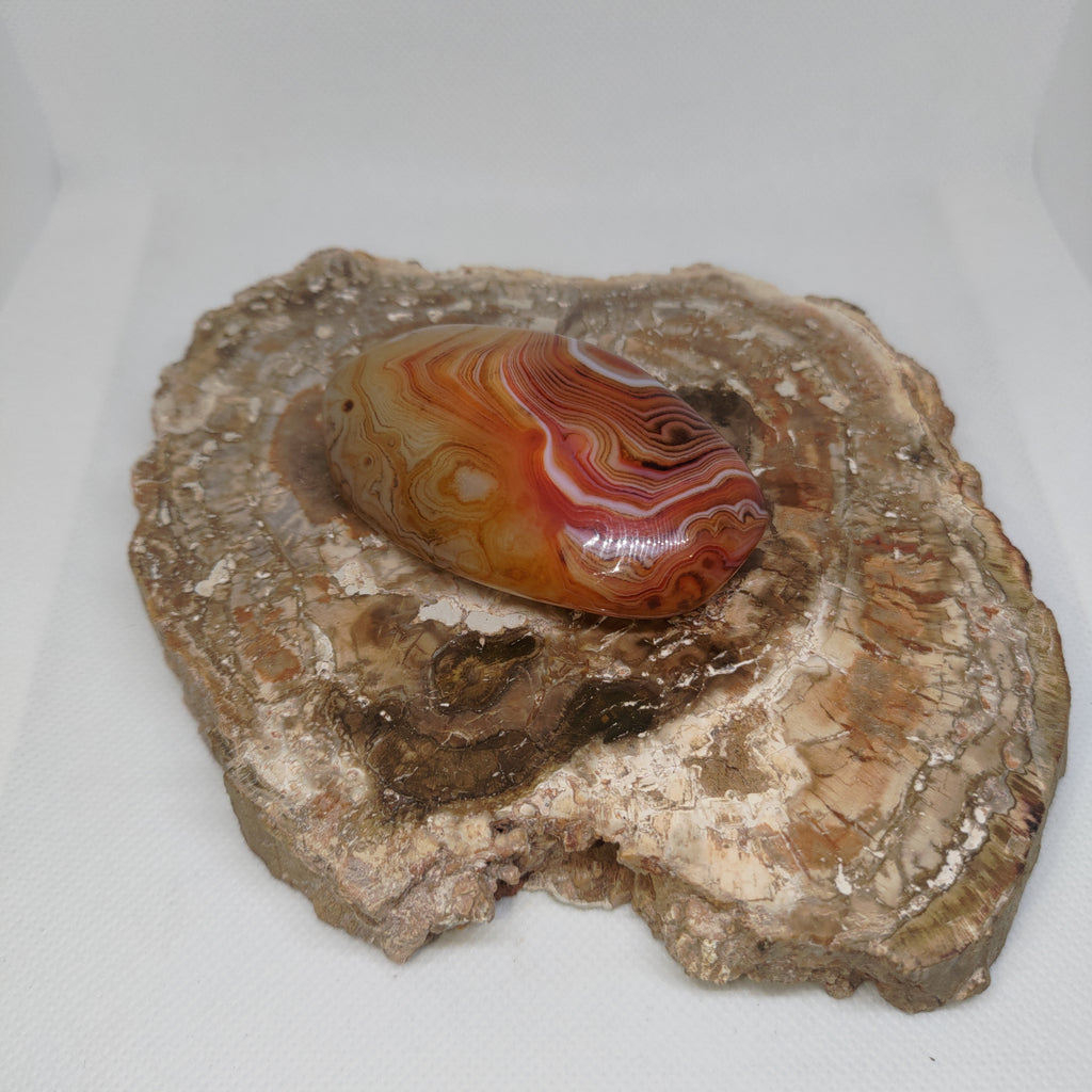 Madagascar Banded Agate Ref: 0408