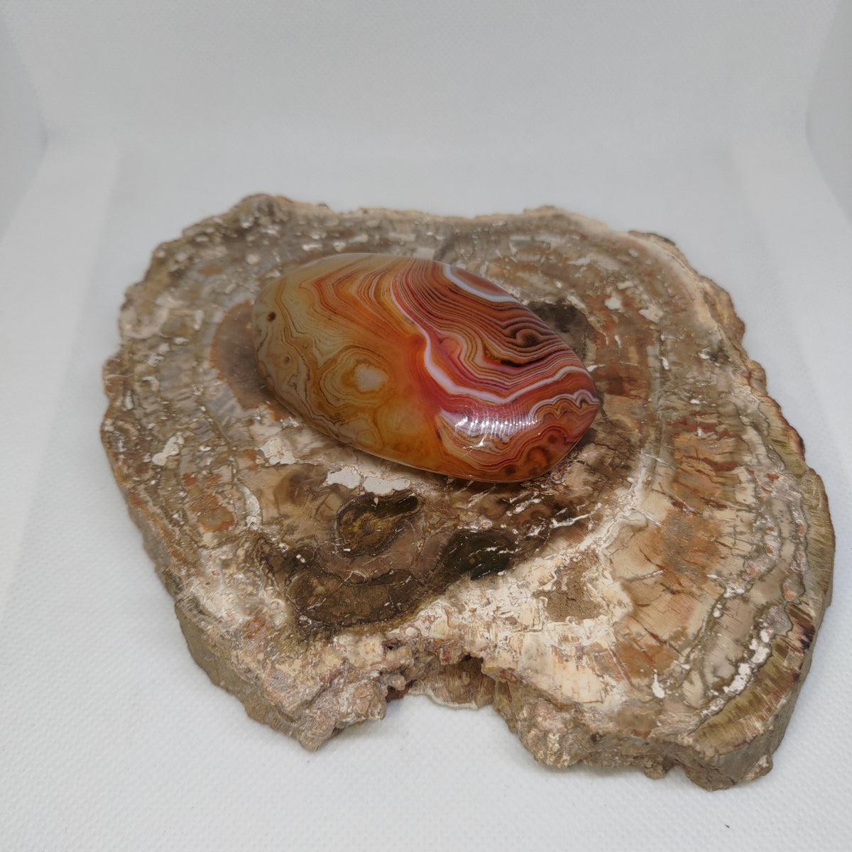 Madagascar Banded Agate Ref: 0408