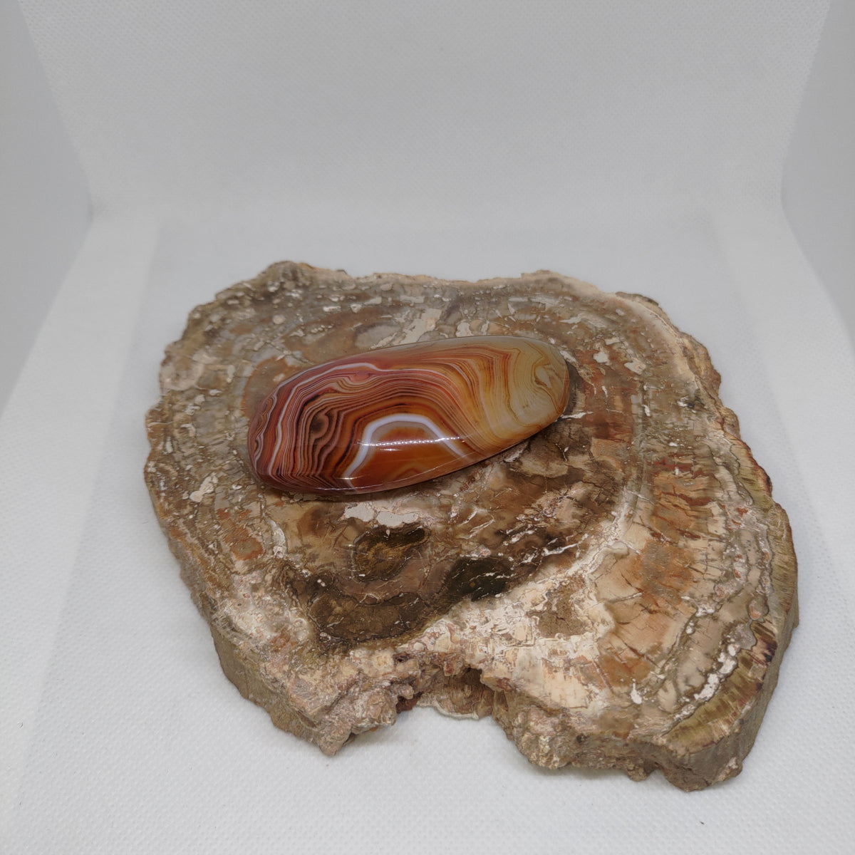 Madagascar Banded Agate Ref: 0408