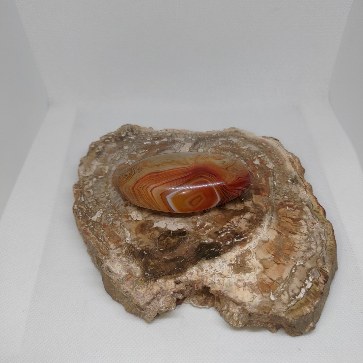 Madagascar Banded Agate Ref: 0408