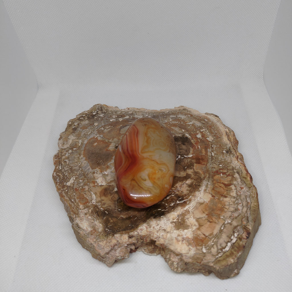 Madagascar Banded Agate Ref: 0408