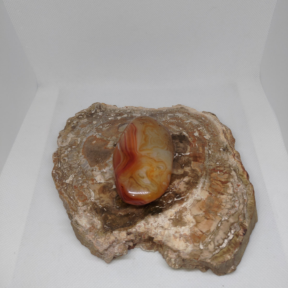 Madagascar Banded Agate Ref: 0408