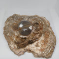 Orca Agate Palm Stone Ref: 0410