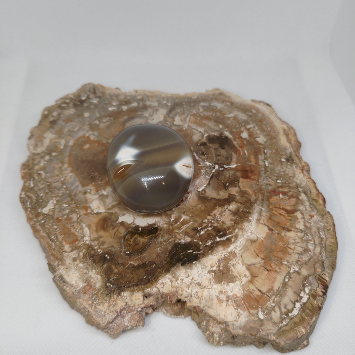 Orca Agate Palm Stone Ref: 0410
