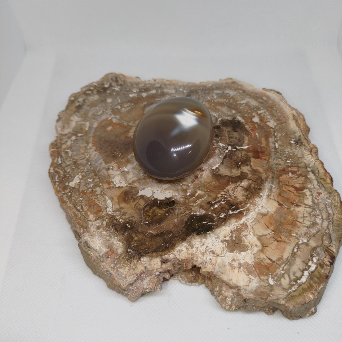 Orca Agate Palm Stone Ref: 0410