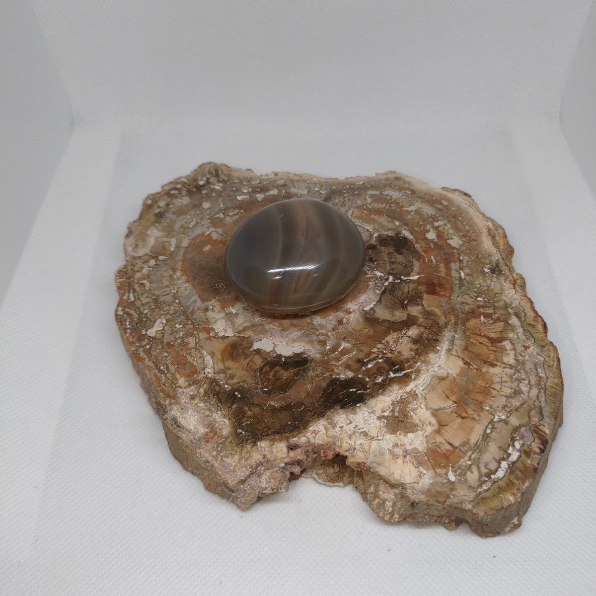 Orca Agate Palm Stone Ref: 0410