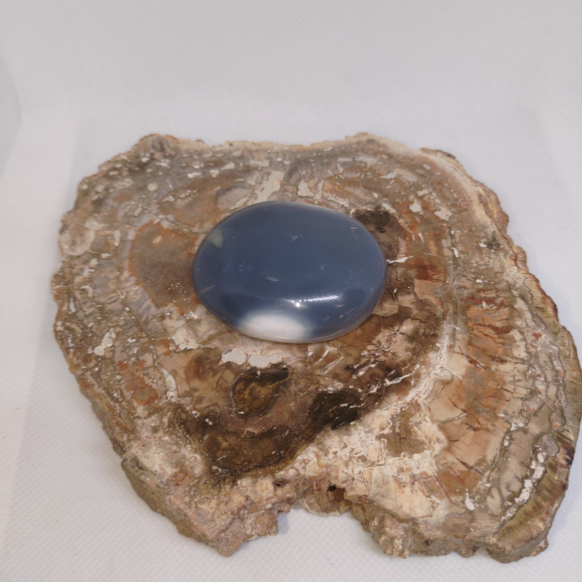 Orca Agate Palm Stone Ref: 0413