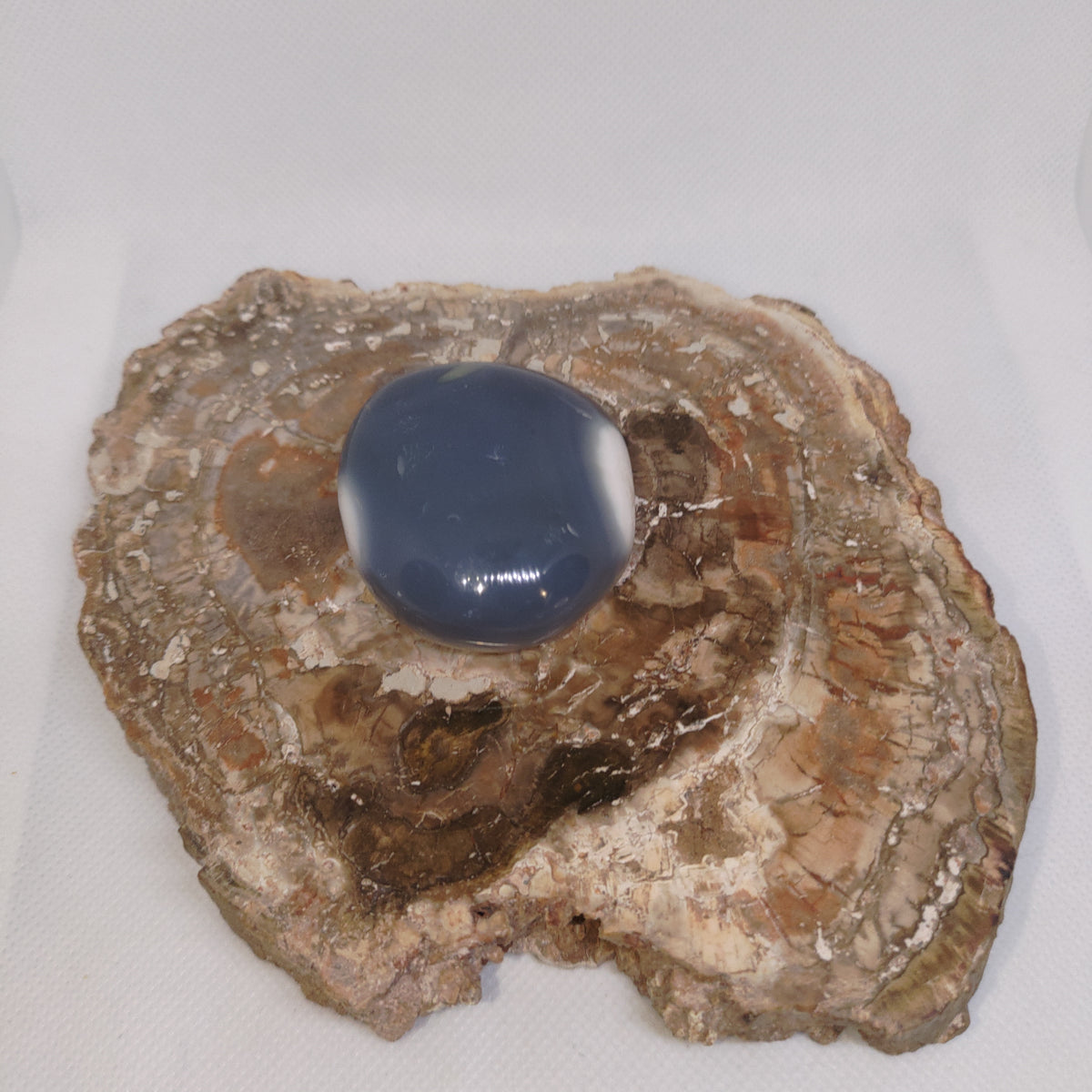 Orca Agate Palm Stone Ref: 0413