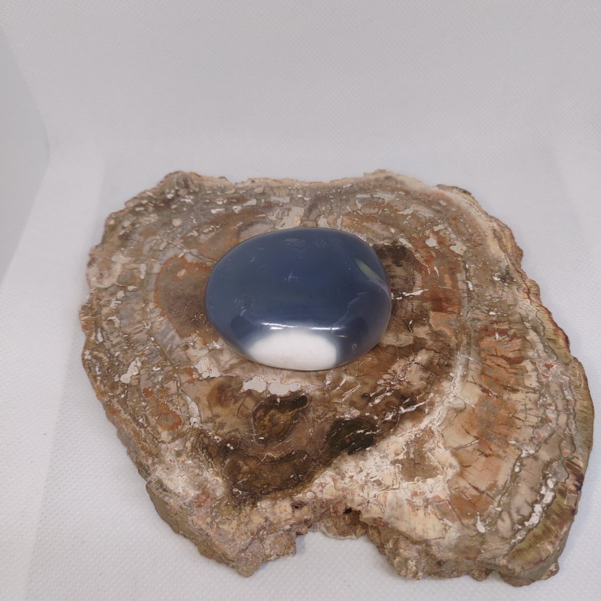 Orca Agate Palm Stone Ref: 0413