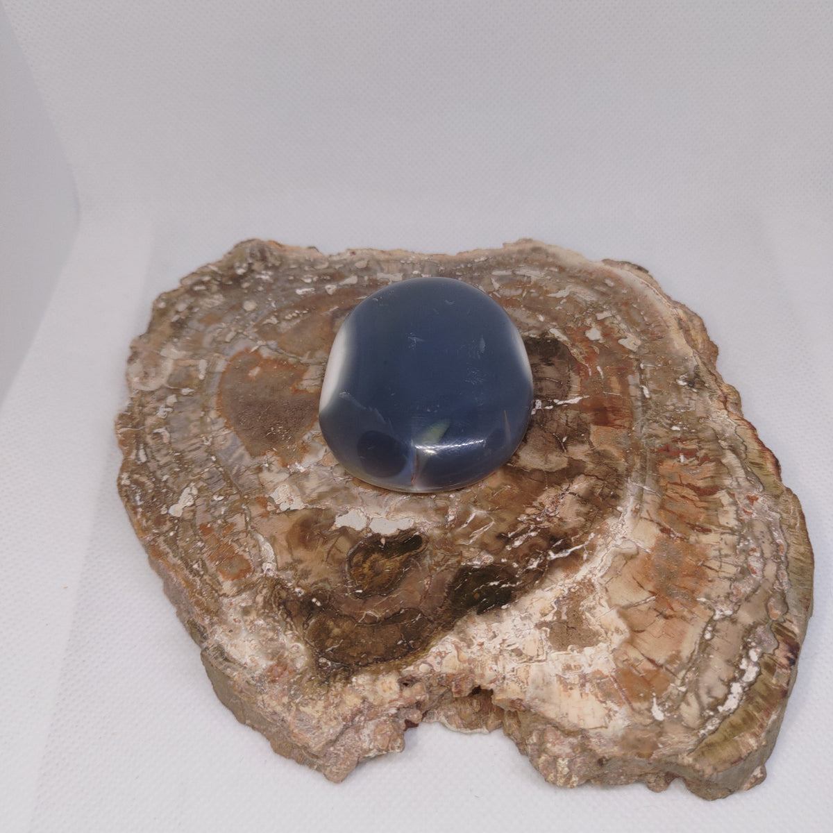 Orca Agate Palm Stone Ref: 0413