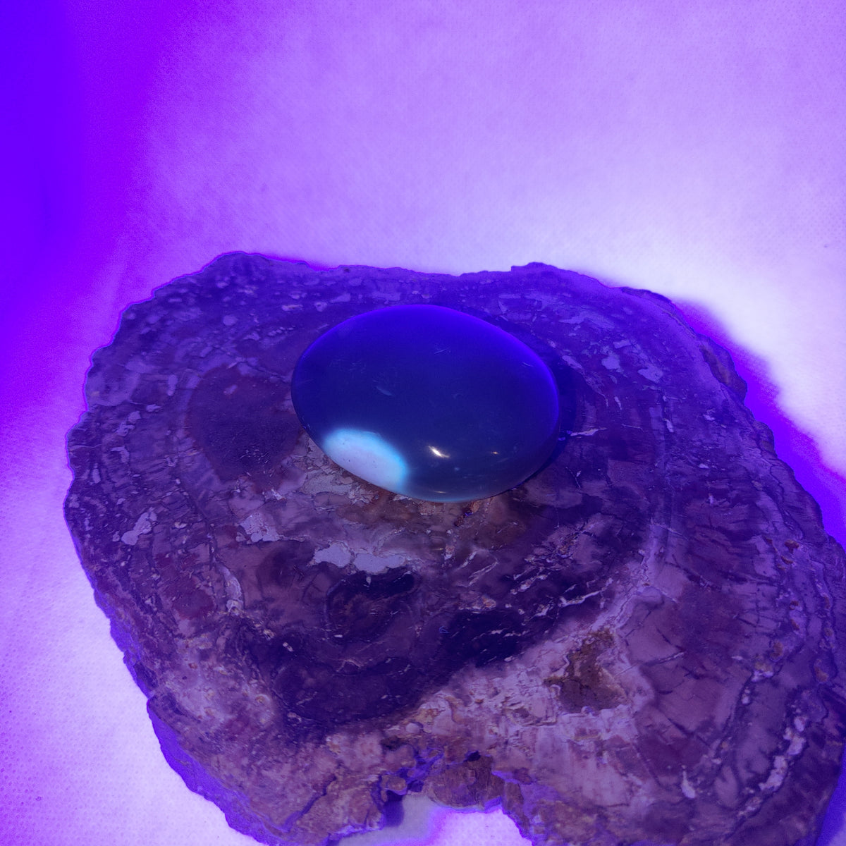 Orca Agate Palm Stone Ref: 0413