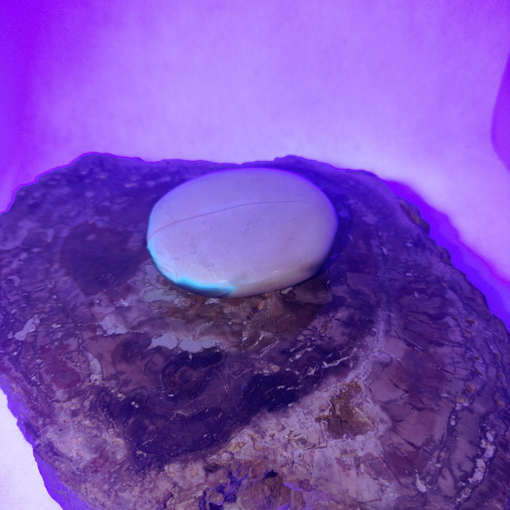 Orca Agate Palm Stone Ref: 0413