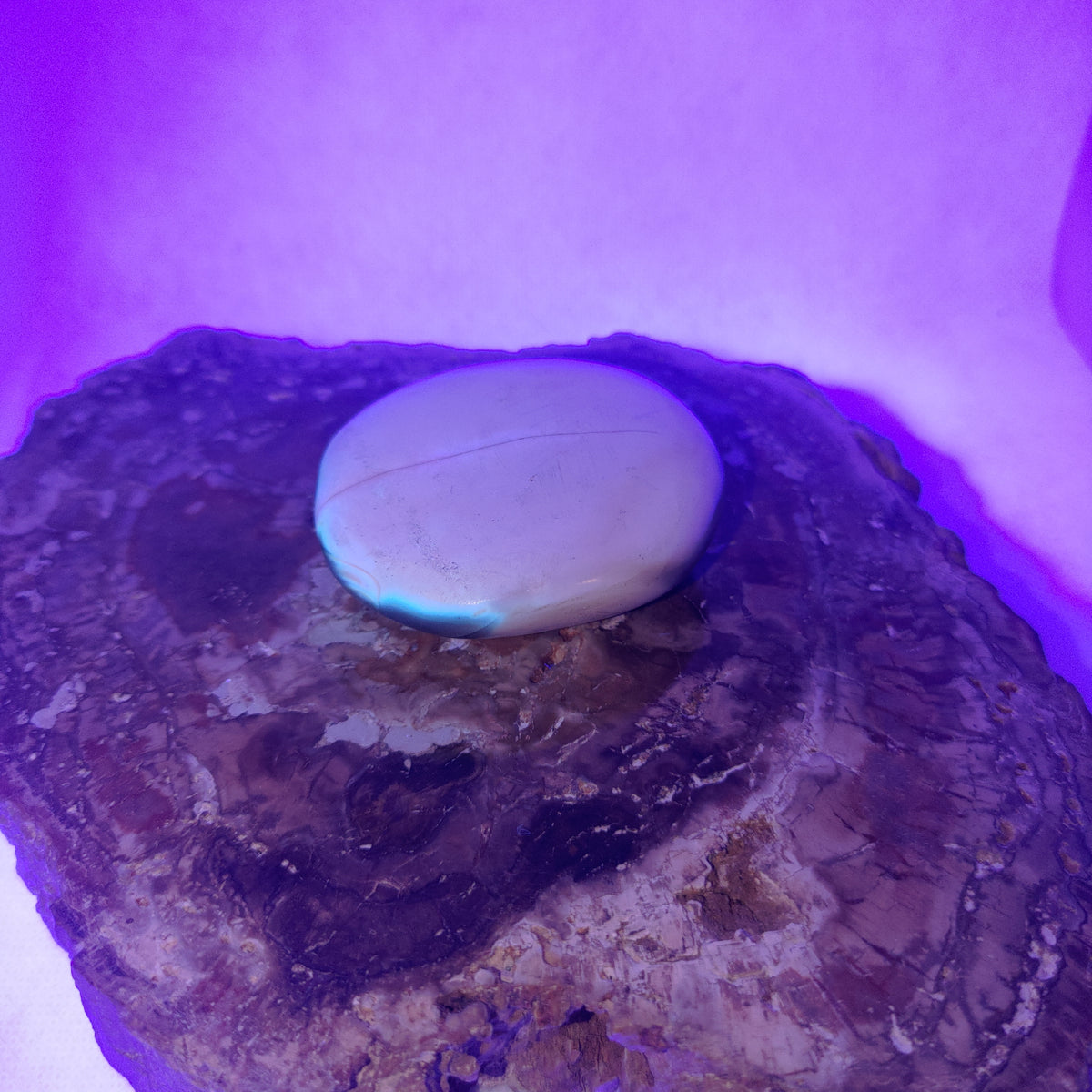 Orca Agate Palm Stone Ref: 0413