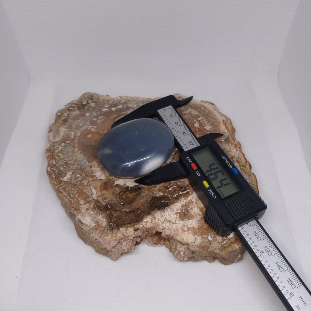 Orca Agate Palm Stone Ref: 0413