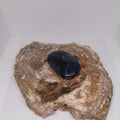 Black Banded Agate Palm Stone Ref: 0414