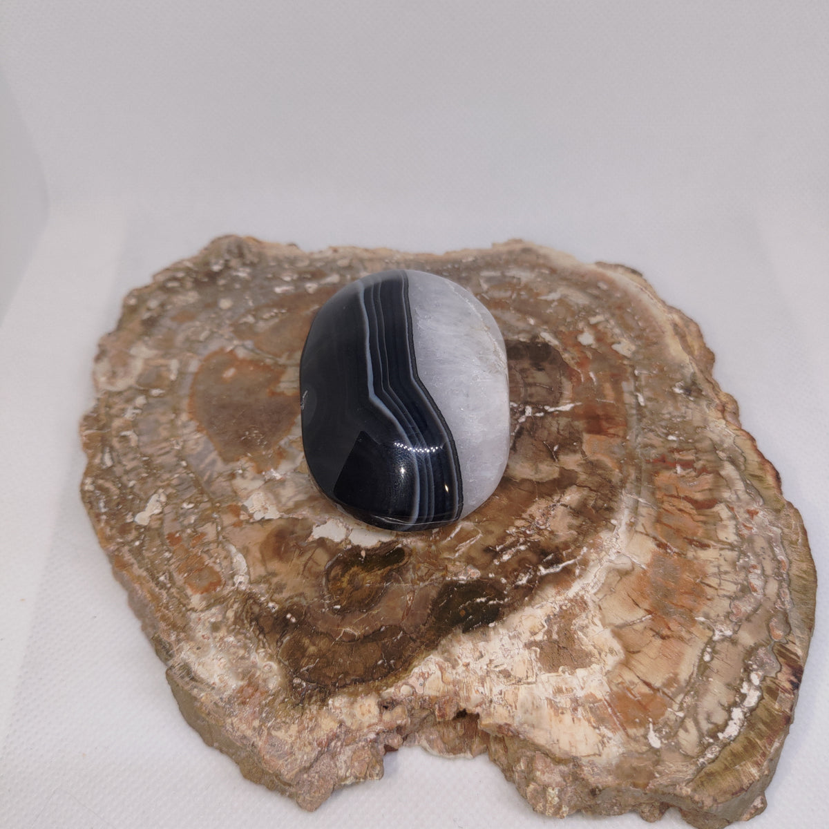 Black Banded Agate Palm Stone Ref: 0415