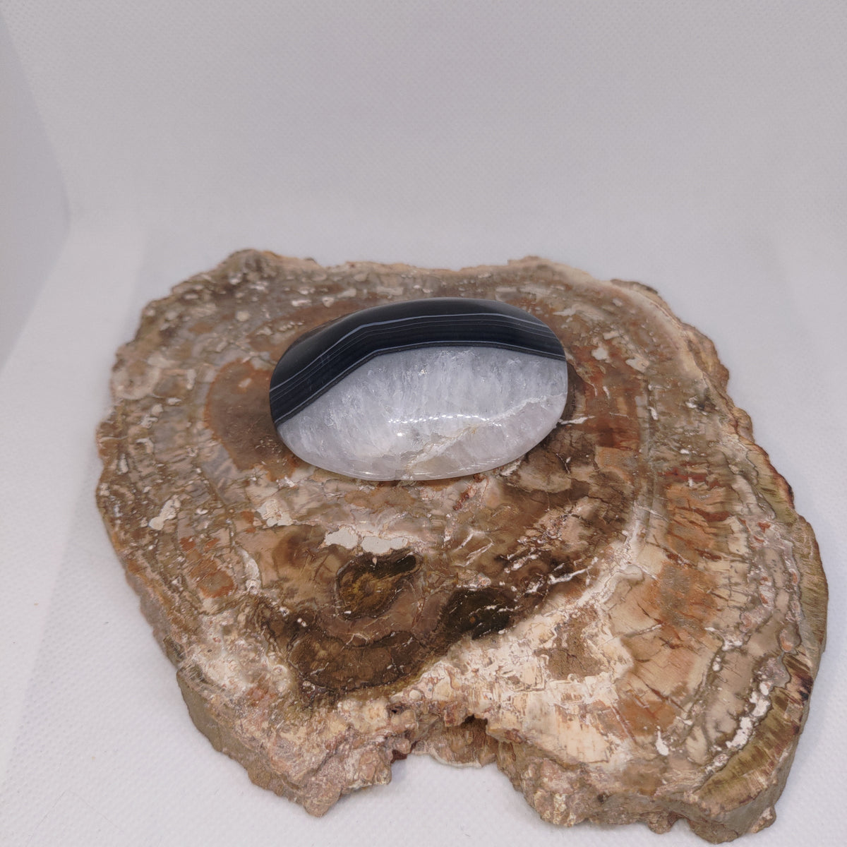 Black Banded Agate Palm Stone Ref: 0415