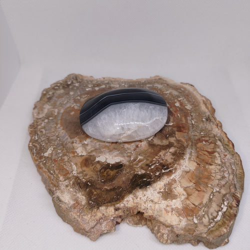 Black Banded Agate Palm Stone Ref: 0415