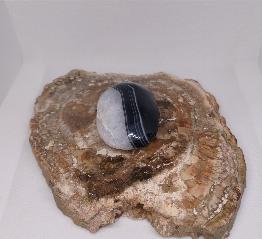 Black Banded Agate Palm Stone Ref: 0415