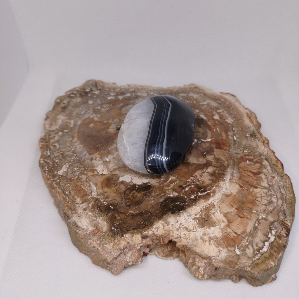 Black Banded Agate Palm Stone Ref: 0415