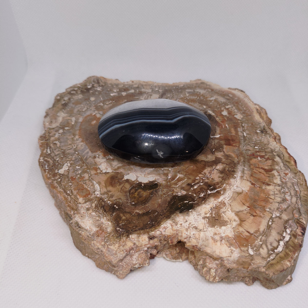 Black Banded Agate Palm Stone Ref: 0415