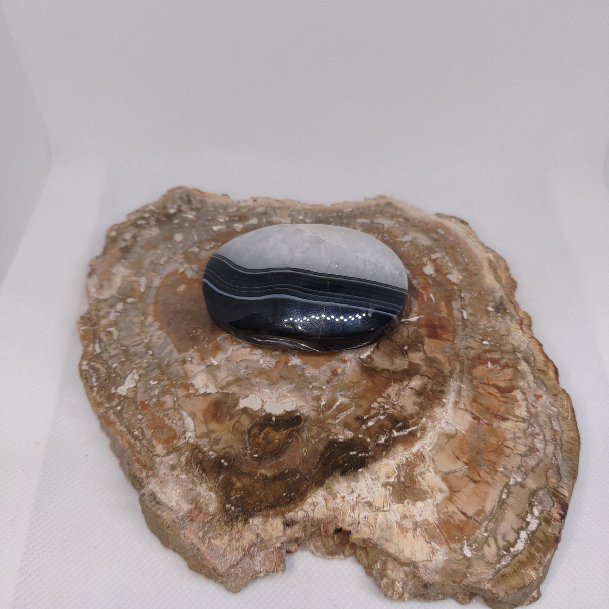 Black Banded Agate Palm Stone Ref: 0415