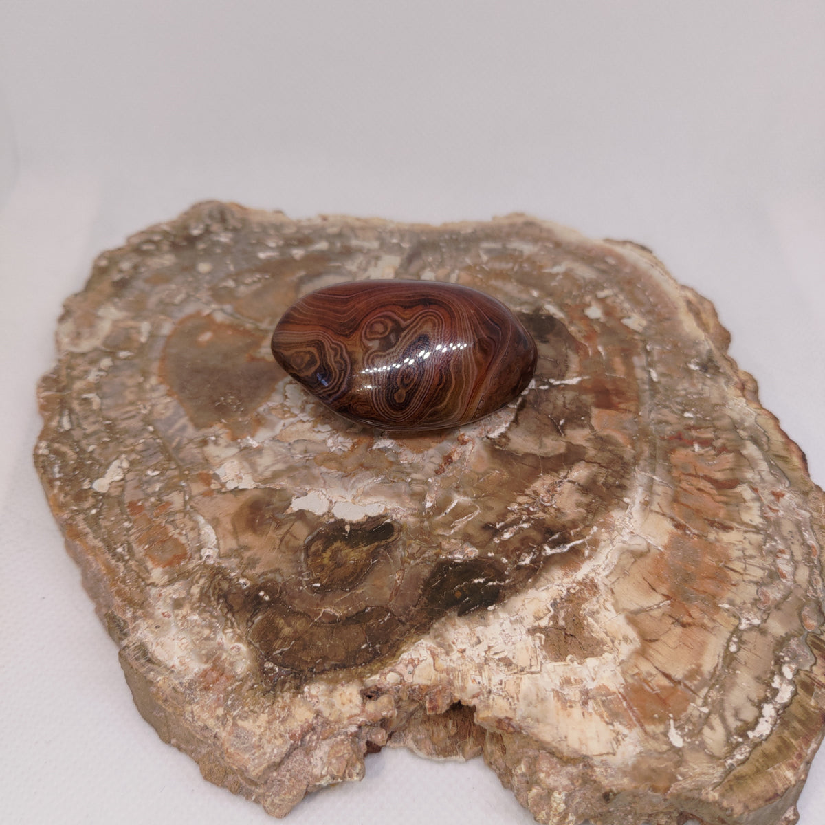 Madagascar Silk/Lace Agate Palm Stone Ref: 0418