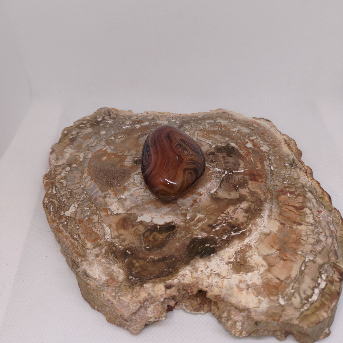 Madagascar Silk/Lace Agate Palm Stone Ref: 0418