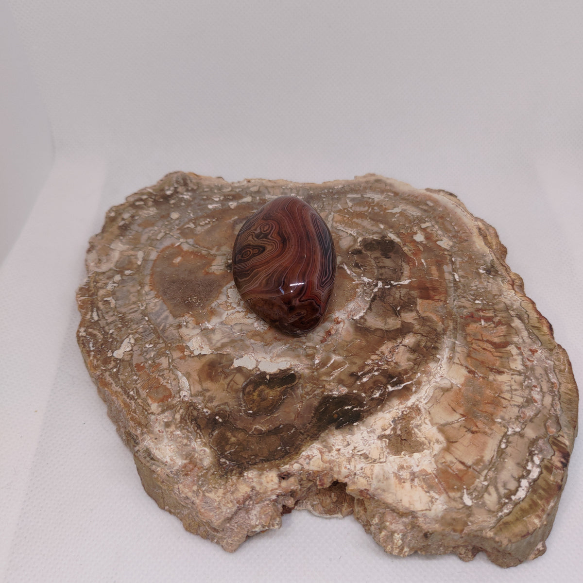 Madagascar Silk/Lace Agate Palm Stone Ref: 0418