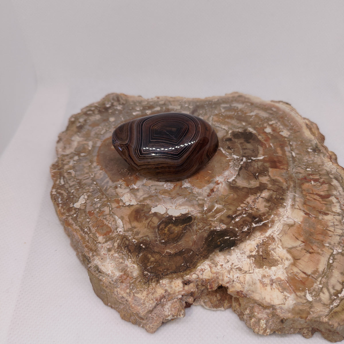Madagascar Silk/Lace Agate Palm Stone Ref: 0418
