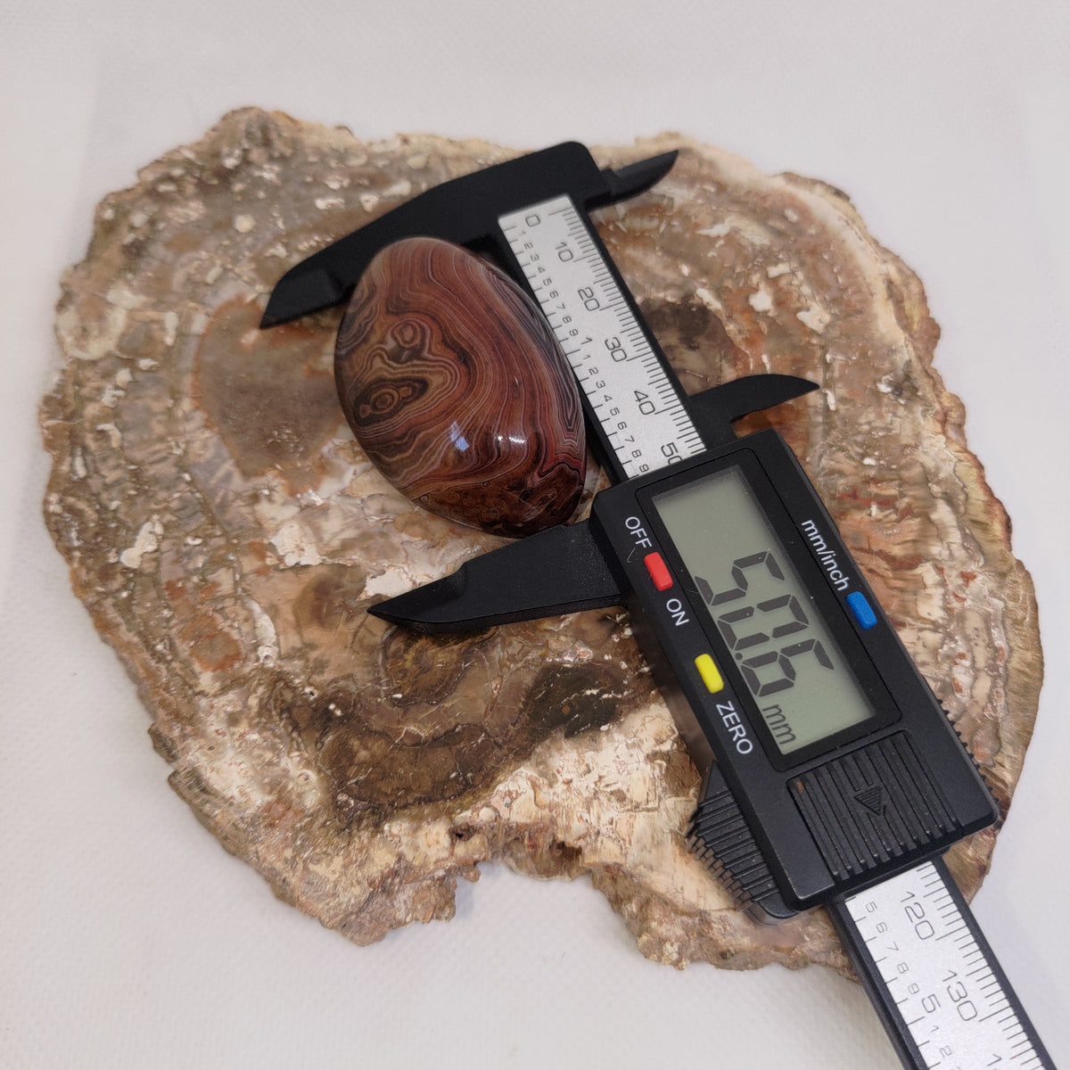 Madagascar Silk/Lace Agate Palm Stone Ref: 0418