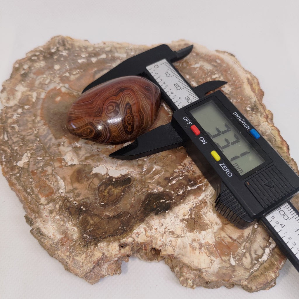 Madagascar Silk/Lace Agate Palm Stone Ref: 0418