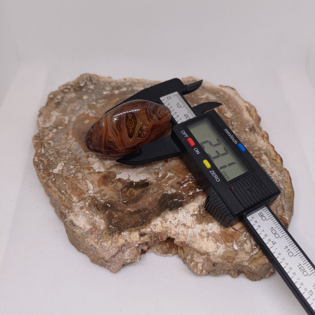 Madagascar Silk/Lace Agate Palm Stone Ref: 0418