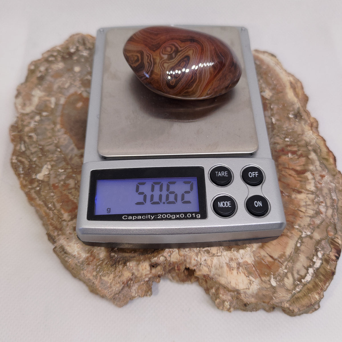 Madagascar Silk/Lace Agate Palm Stone Ref: 0418
